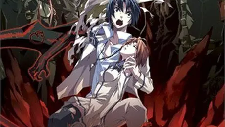 Series Banner 2