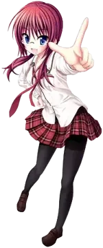 白鷹 すみれ