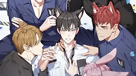 Cat vs Beast