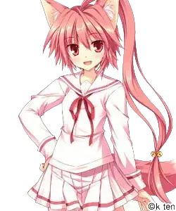 高坂 真琴