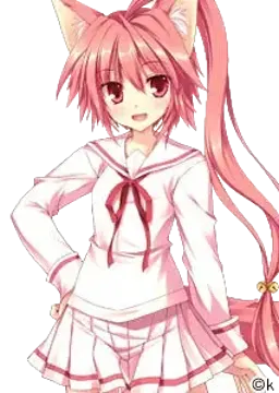 高坂 真琴
