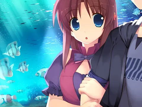155643a4