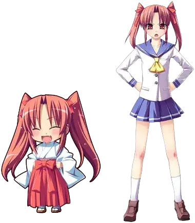 松波 綾乃