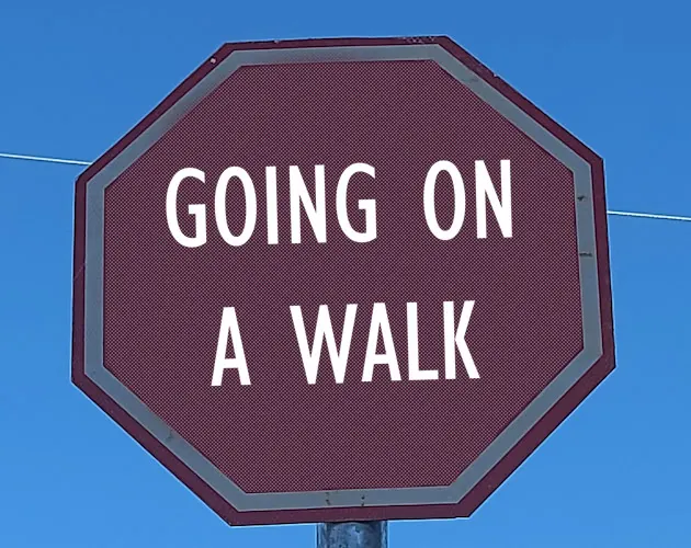 Going on a Walk