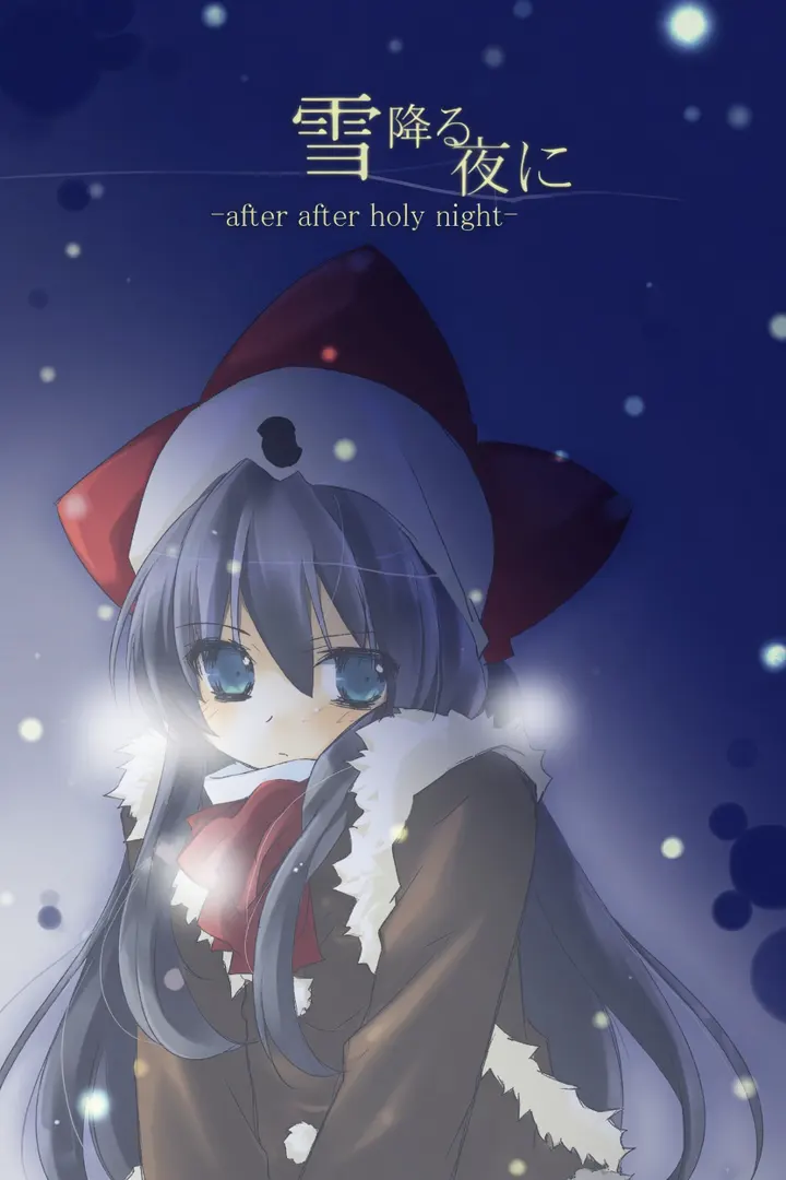 雪降る夜に - after after holy night -