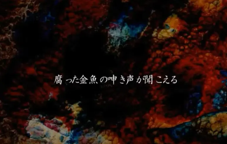 听到腐烂金鱼的呻吟声