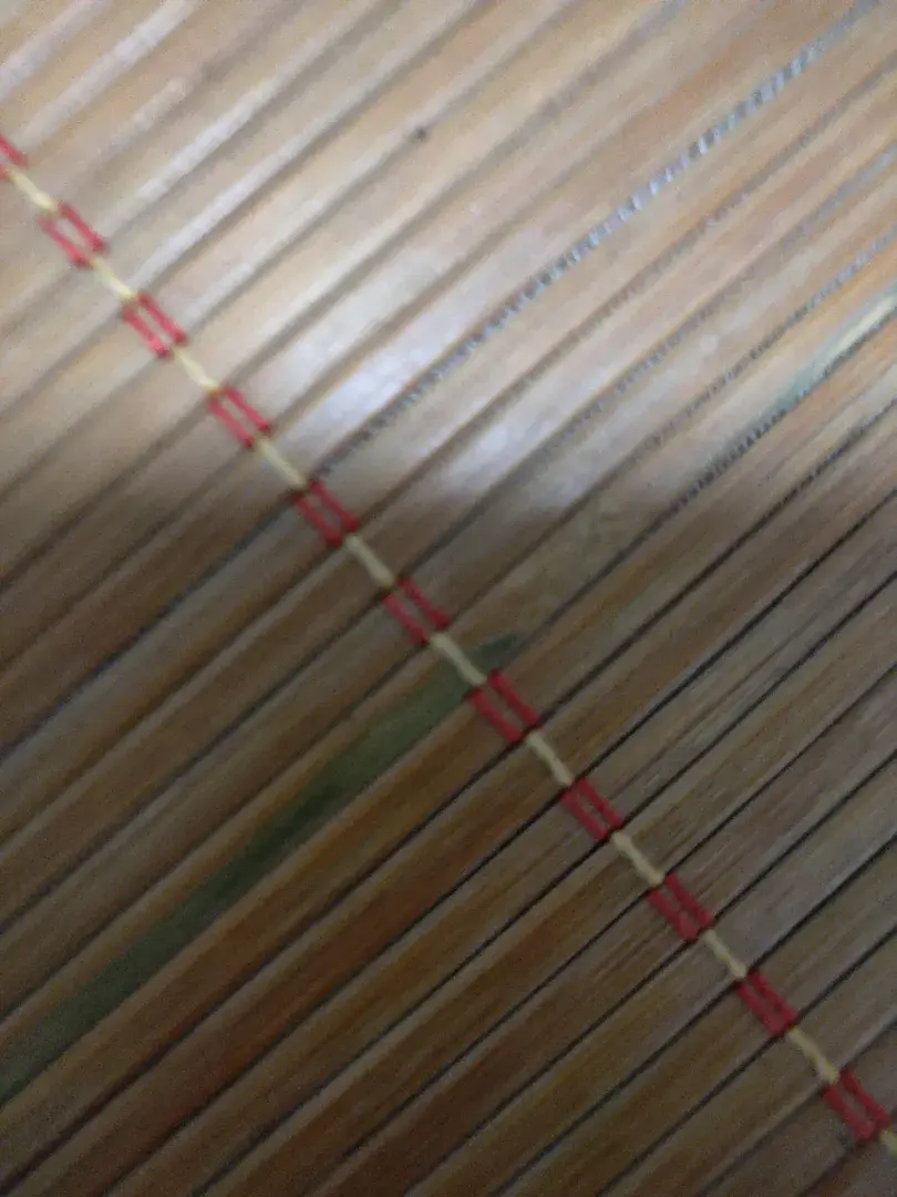 257775-1754665937963-17546659127591784723535085385890jpg