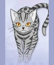 虎