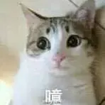 huangoil