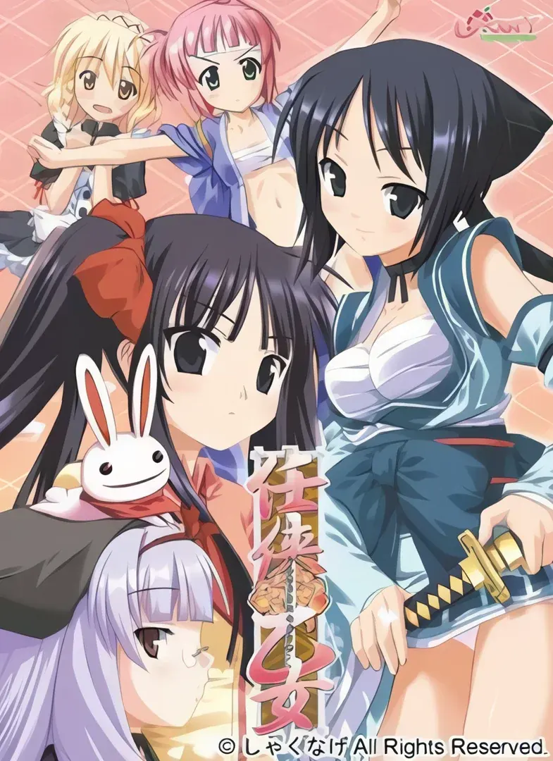 任侠华乙女