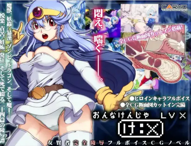女贤者LV_X
