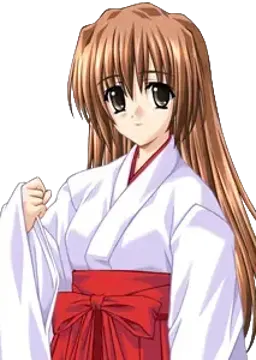 沢良宜 晴