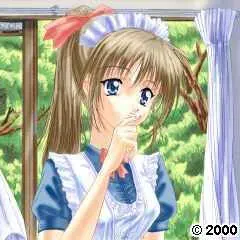 天野 照美