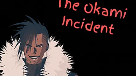 The Okami Incident
