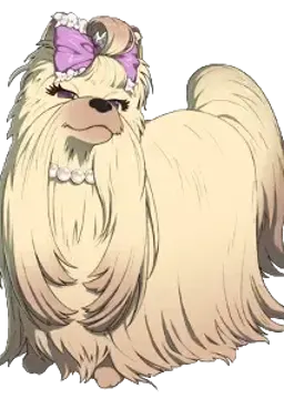 クララ
