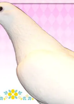 尾呼 散