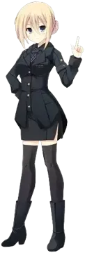 クエステル エバレット