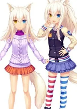 ココナツ