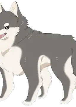 犬