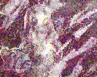 noise girl