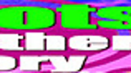 idiots another story