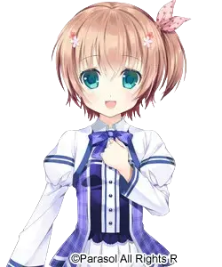 蒼井 遙