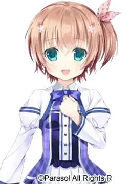 蒼井 遙