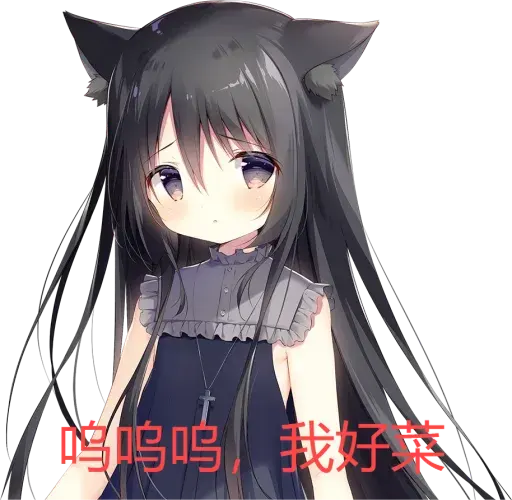 诺瓦最可爱了-1724333836446-listdernoir8webppng