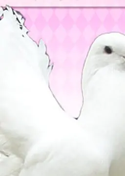 朔夜・ル・ベル・銀