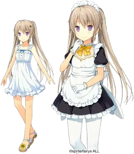 有坂 真白