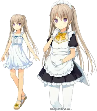 有坂 真白