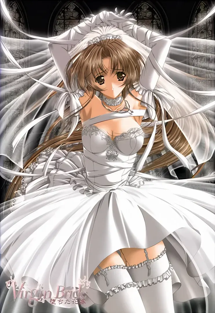 Virgin Bride ~堕ちた花嫁~