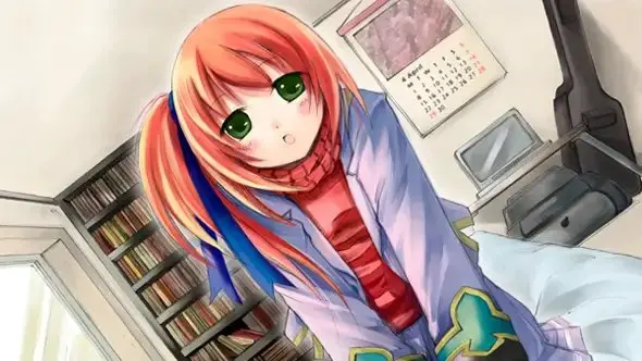 22877994