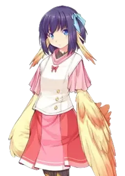 皮伊