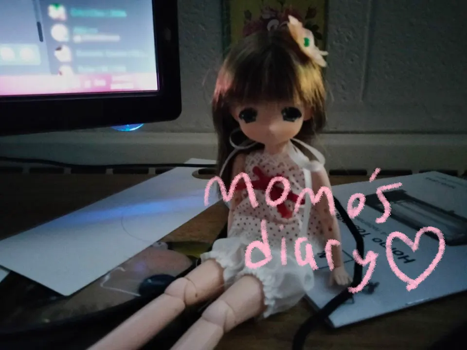 Momo's Diary
