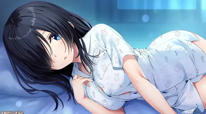 同居女友2