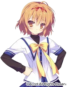結橋泉