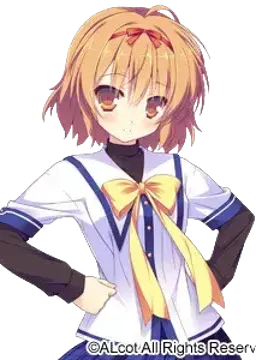 結橋泉