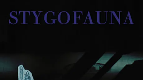 Stygofauna