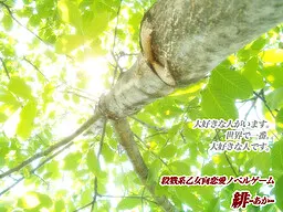 緋 -あか-