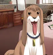 コローネ