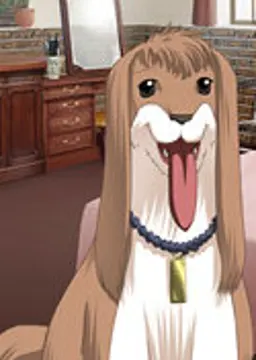 コローネ