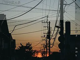 顔と人