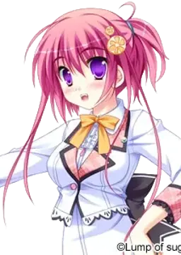 小星蓮子