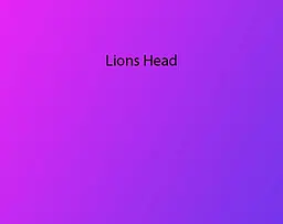 lion's head