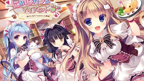 Series Banner 1