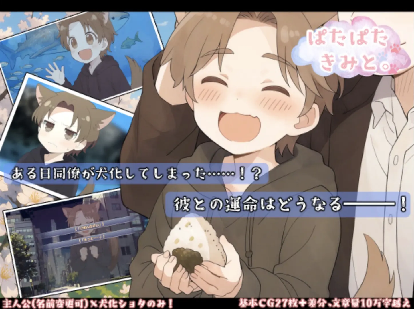 ぱたぱたきみと。