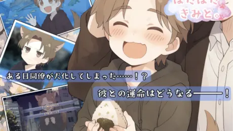 ぱたぱたきみと。