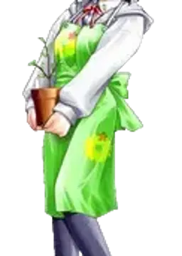 園村 双葉