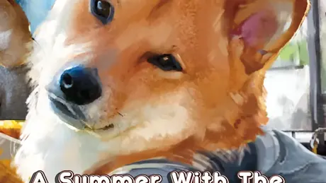 A Summer with the Shiba Inu